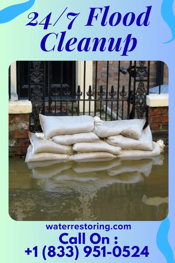 24/7 Flood Cleanup in Montrose, IL