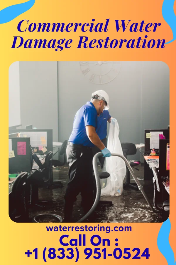 Commercial Water Damage Restoration in Montrose, IL
