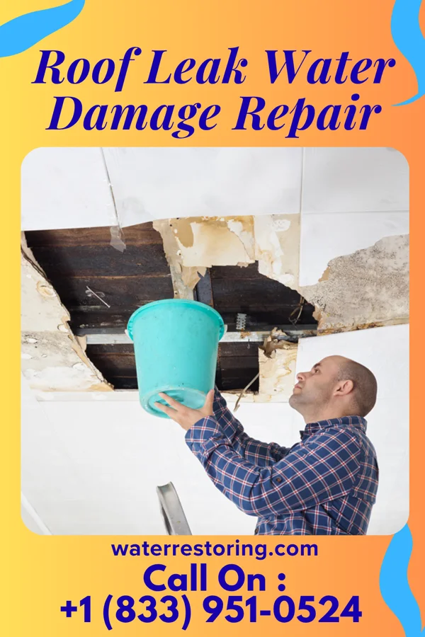 Roof Leak Water Damage Repair in Montrose, IL